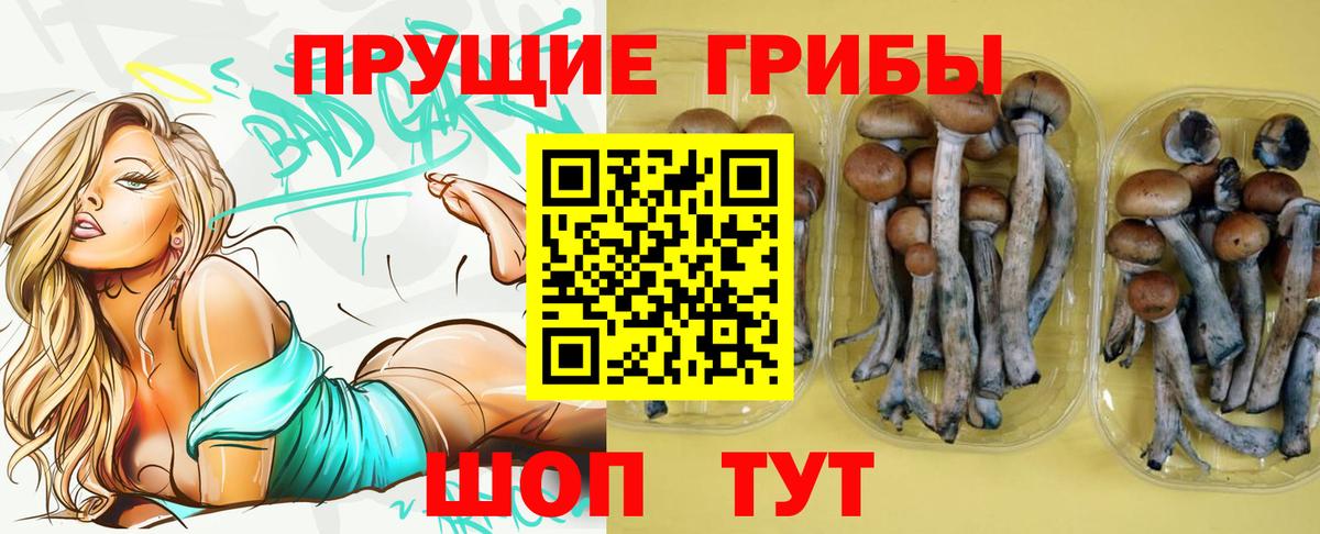 Псилоцибиновые грибы MAGIC MUSHROOMS Биробиджан